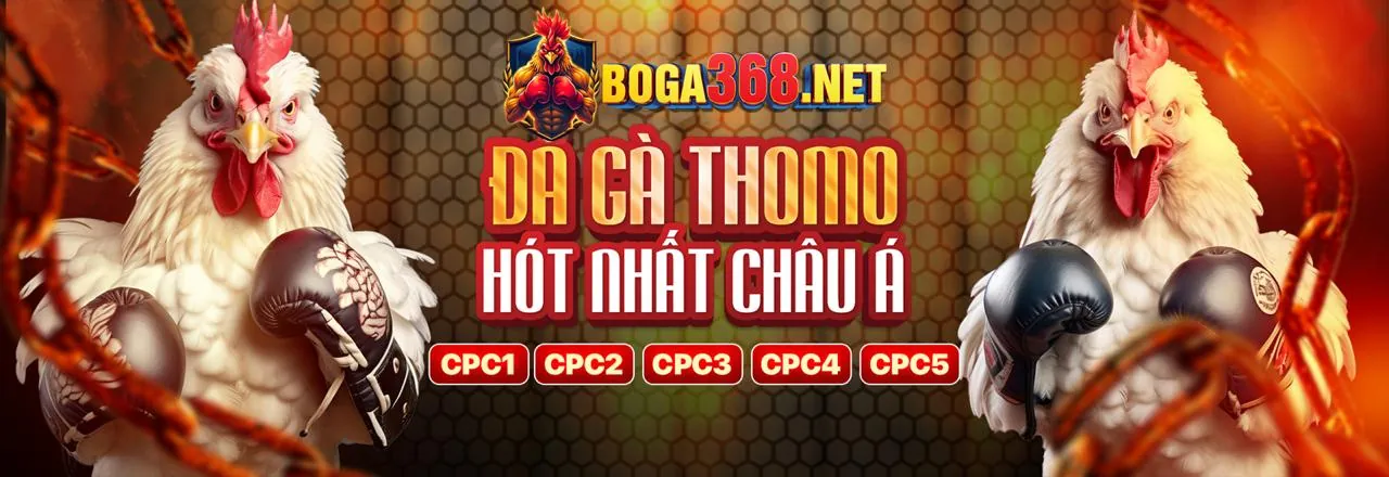 Đấu trường đá gà kịch tính tại Juun88